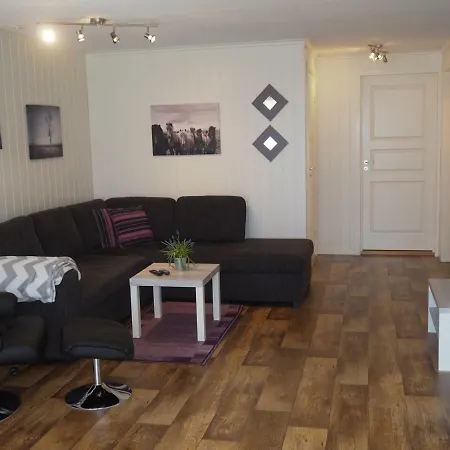 Apartment Stor Og Moderne Stryn